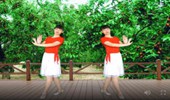江南雨广场舞《红枣树》DJ版零基础 演示和分解动作教学 编舞江南雨