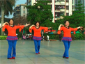 卢姨广场舞 美丽中国年 团队演示