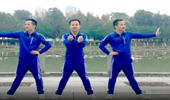 武阿哥广场舞《一地伤悲》大众健身操 演示和分解动作教学 编舞武阿哥