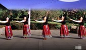 春英广场舞《月光下的美人》藏族舞 演示和分解动作教学 编舞春英