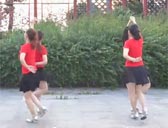 江南雨广场舞 两颗年轻的心 双人舞 附分解动作