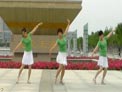 飞舞 广场舞站在草原望北京 含背面演示