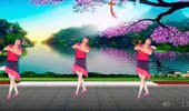 嫦娥仙子广场舞《晚秋》混杂拉丁舞步 演示和分解动作教学 编舞嫦娥仙子