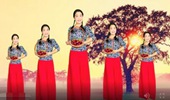 惠州梅子广场舞《红枣树》形体舞 演示和分解动作教学 编舞惠州梅子