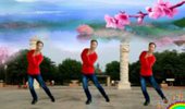 定州强哥广场舞《天长地久》32步 演示和分解动作教学 编舞强哥