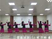 小丽子明广场舞 新疆亚克西 背面展示与动作分解