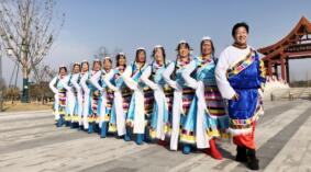 青儿广场舞《心中的敖包吉祥》变队形藏族舞 背面演示及分解教学 编舞青儿