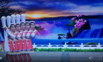 琴舞动心情广场舞《云海情缘》简单藏族舞 背面演示及分解教学