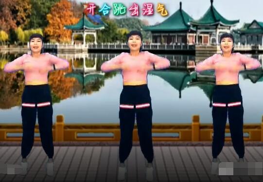 上海伟伟广场舞《野花香》有氧健身操 背面演示及分解教学 编舞伟伟