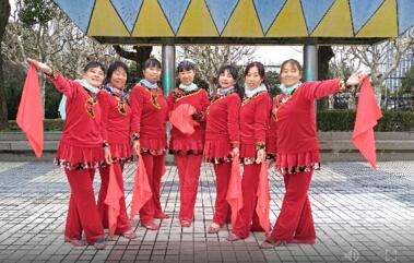 上海香何花广场舞《新年大吉》贺年丝巾舞 背面演示及分解教学 编舞香何花