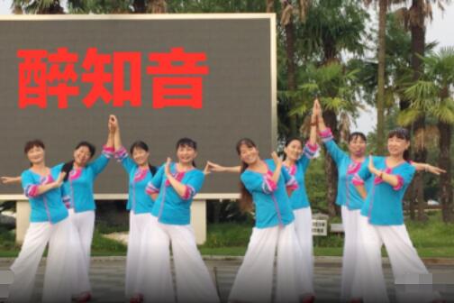 上海香何花广场舞《醉知音》抒情形体舞 背面演示及分解教学 编舞香何花