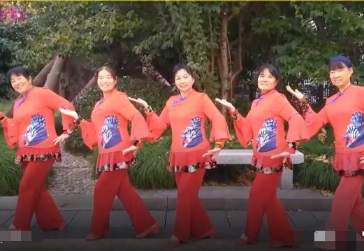 上海香何花广场舞《欢迎你到庄乡来》背面演示及分解教学 编舞香何花