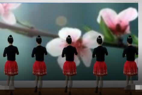 桃花朵朵开广场舞《桃花错》背面演示及分解教学 编舞桃花朵朵开