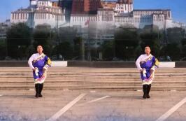 小东北广场舞《热情的高原》藏族舞 背面演示及分解教学 编舞小东北