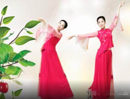 小龙女广场舞《红枣树》古典柔美形体舞 背面演示及分解教学