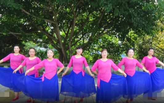 谢春燕广场舞《家乡的红枣树》现代形体舞 背面演示及分解教学