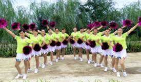 信阳阿琴广场舞《中国广场舞》花球12人变形 背面演示及分解教学 编舞阿琴