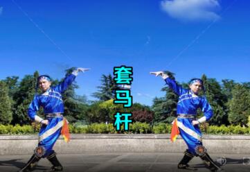 杨光广场舞《套马杆》原创蒙古族风格 背面演示及分解教学 编舞杨光