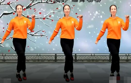 杨杨广场舞《一个人挺好DJ》网红神曲弹跳32步 背面演示及分解教学