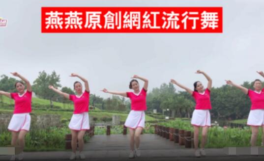 燕燕广场舞《花开的时候你就来看我》网红流行舞蹈 背面演示及分解教学