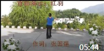 宜春红羽广场舞 45 最炫中国梦（背面演示与动作分解）