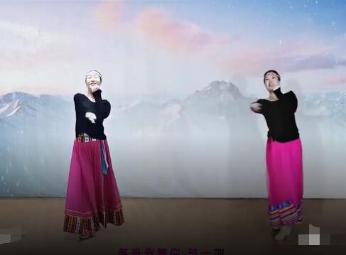 应子广场舞《九千年的承诺》藏族舞 背面演示及分解教学 编舞应子