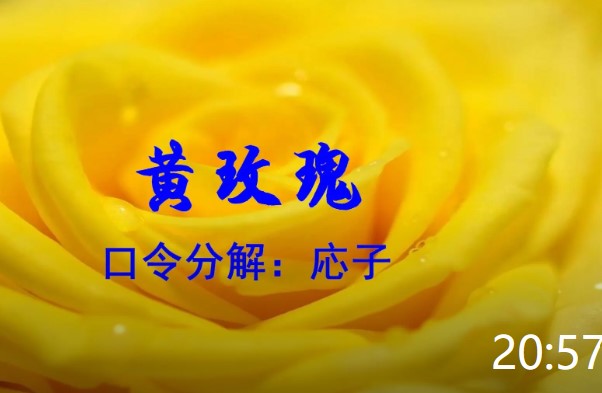 応子广场舞《黄玫瑰》（五周年纪念版）
