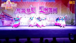 益馨广场舞《丝绸之路》12人变队形版 背面演示及分解教学 编舞益馨