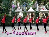 深圳山茶广场舞红玫瑰 正背面演示及分解动作教学 编舞山茶
