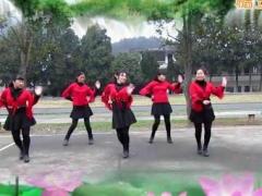 湖南灵迈广场舞歌在飞 正背面演示及分解动作教学 编舞灵迈