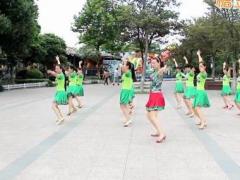 温州燕子广场舞《欢快节奏》正背面演示及分解教学 编舞燕子