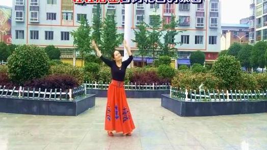 重庆巫山桃源广场舞《我的九寨》藏族舞 背面演示及分解教学 编舞桃花飘飘
