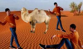开心广场舞《沙漠骆驼》流行神曲 背面演示及分解教学