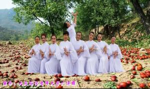 大庆石化老年大学广场舞《红枣树》原创形体舞 背面演示及分解教学