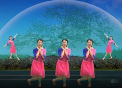 自信的微笑广场舞《红枣树》形体舞 背面演示及分解教学 编舞自信的微笑