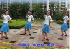 舞在深圳湾广场舞泼茶香 附分解动作教学 原创编舞雨丝