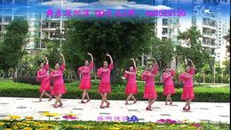 舞在深圳湾广场舞八九雁来 附分解动作教学 原创编舞雨丝