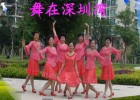 舞在深圳湾广场舞最怕结果爱不起 附分解动作教学 原创编舞雨丝