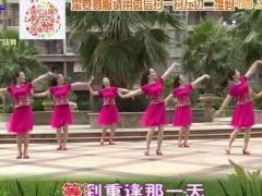 杨丽萍广场舞十八年 抒情韵律舞蹈 附分解动作教学 原创编舞杨丽萍