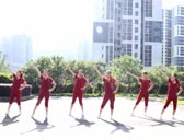 重庆叶子广场舞不要不要的 附分解动作教学 原创编舞叶子