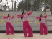 杨丽萍广场舞为红颜 简单易学的古典舞 附分解动作教学 原创编舞杨丽萍