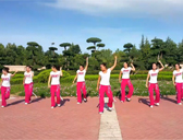 舞动旋律2007健身队 广场舞宝贝再来一次 爵士舞 附分解动作教学 原创编舞心