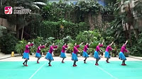 応子广场舞西藏情歌 附分解动作教学 原创编舞応子