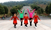 九个大妈们和一位男老师跳藏族舞非常好看《最美的眷恋》