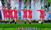 河北青青广场舞《想你俺就掉眼泪》32步舞蹈含分解教学情歌对唱动感带劲好学