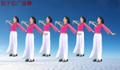 大众精选广场舞《臧家乐》藏族风格音乐热情舞姿欢快好看极了