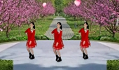 郴州冬菊广场舞【踏浪】大人小孩都会唱的歌简单好看的健身舞