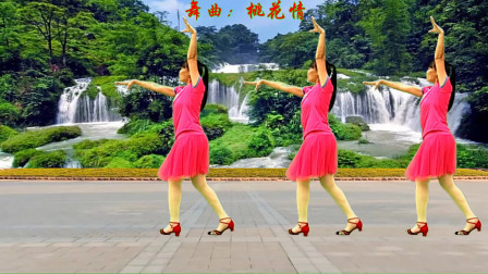 王二妮广场舞荞麦花图片