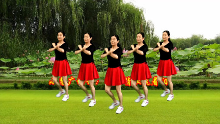 小慧广场舞《白龙马DJ》喜庆唢呐版零基础动感时尚的32步舞蹈含分解教学