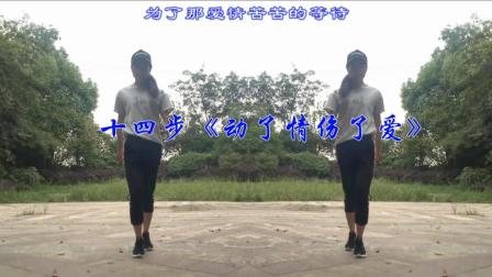 最新桑巴30步鬼步舞《欢快节奏舞曲》